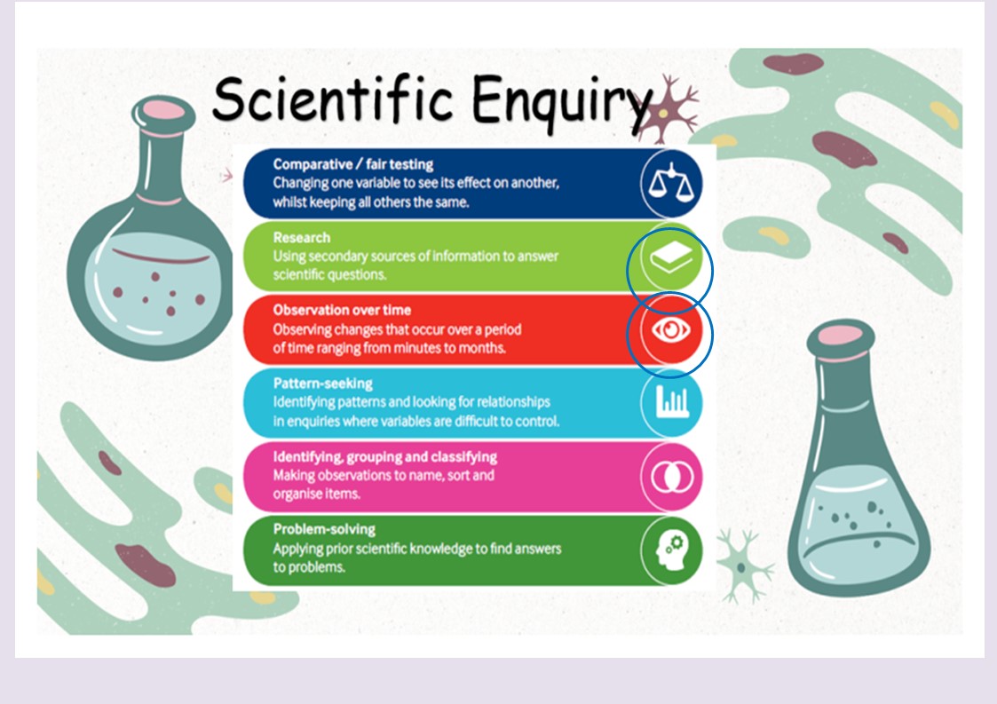 Slide2