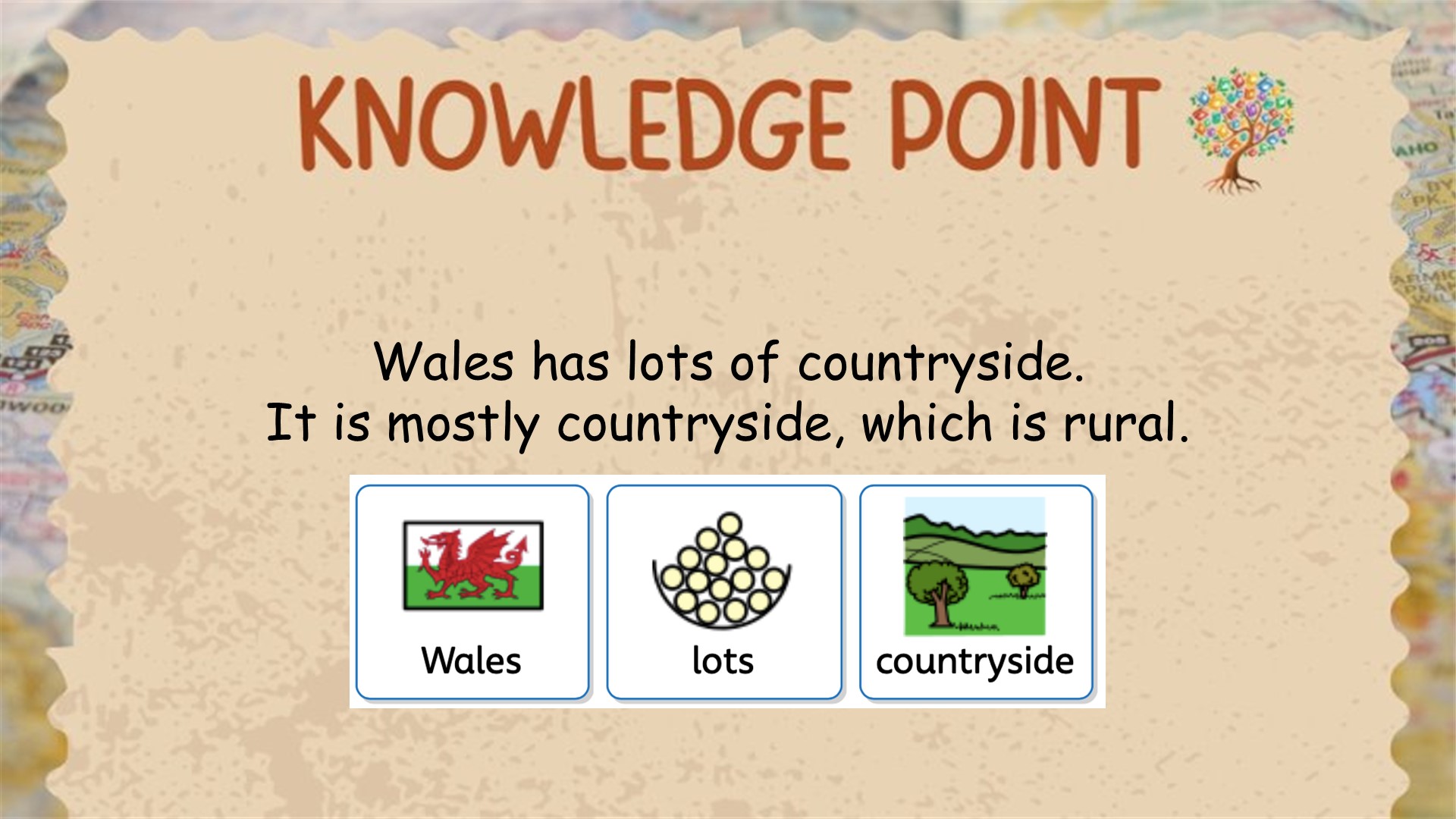Slide24