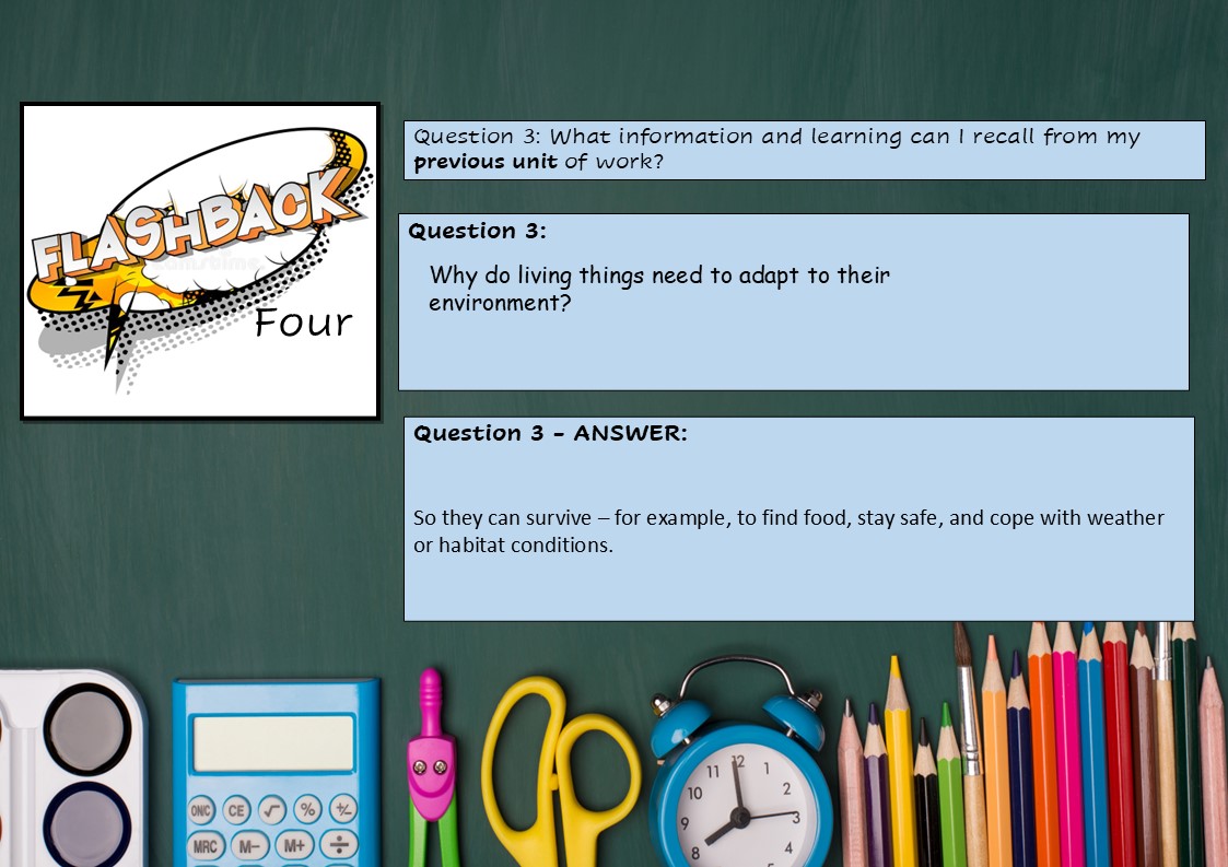 Slide8